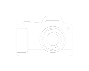 ICON-D.png